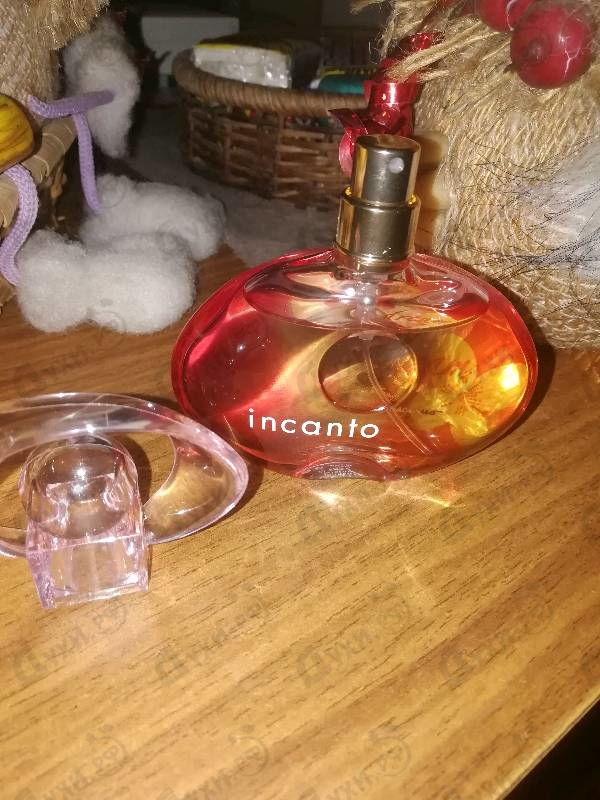 Отзыв Salvatore Ferragamo Incanto Dream