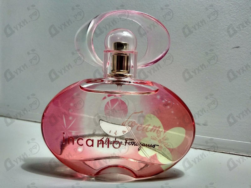 Купить Incanto Dream от Salvatore Ferragamo