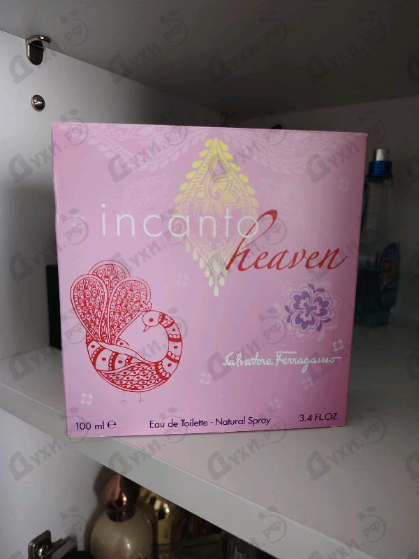 Купить Incanto Heaven от Salvatore Ferragamo