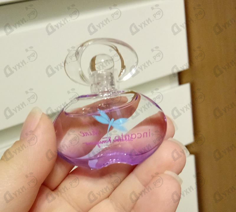 Купить Incanto Shine от Salvatore Ferragamo Отзывы Salvatore Ferragamo Incanto Shine