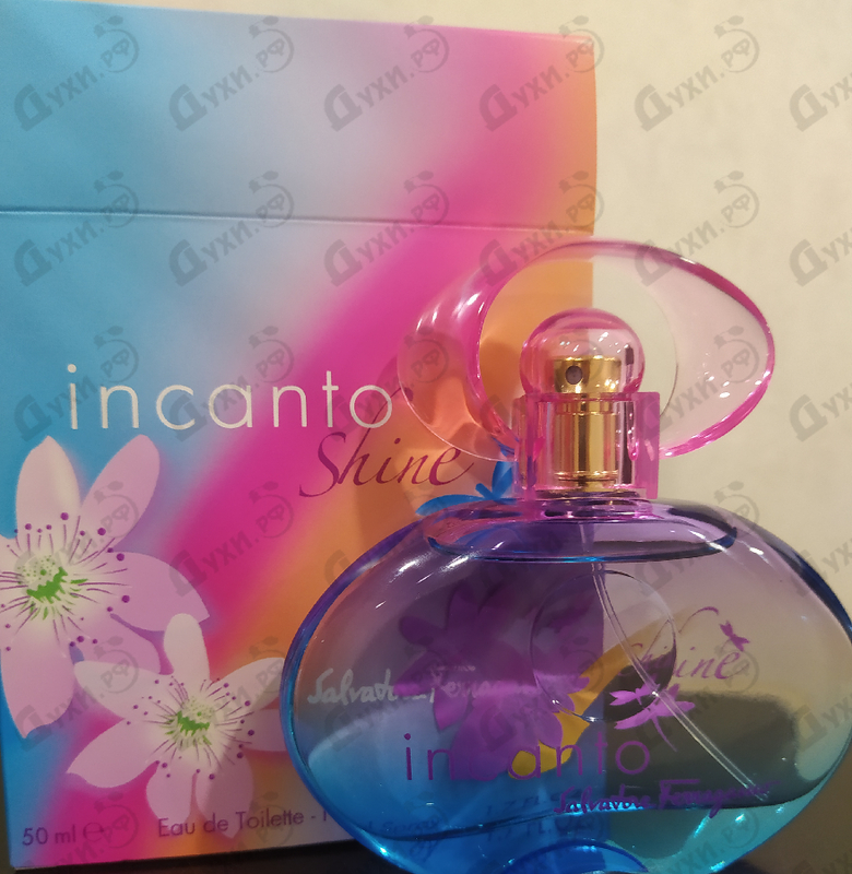 Купить Salvatore Ferragamo Incanto Shine Духи Incanto Shine от Salvatore Ferragamo