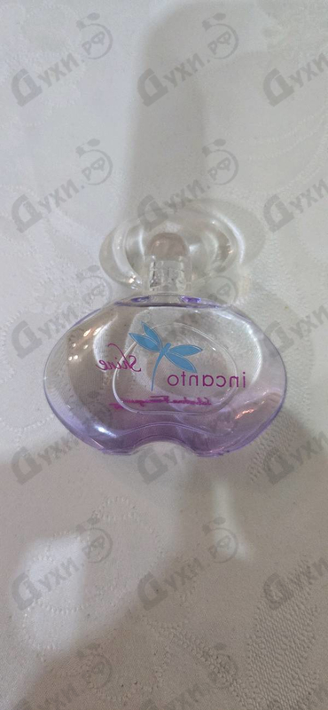 Купить Incanto Shine от Salvatore Ferragamo