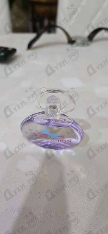 Парфюмерия Salvatore Ferragamo Incanto Shine