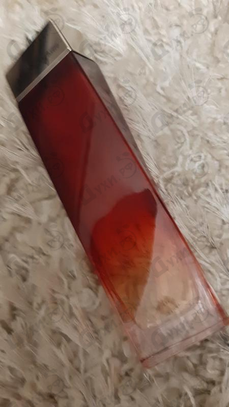 Парфюмерия Subtil от Salvatore Ferragamo Отзывы Salvatore Ferragamo Subtil