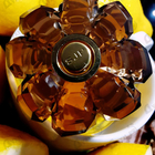 Отзыв Sarah Jessica Parker Covet