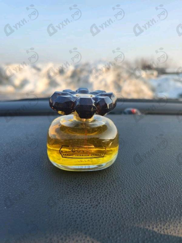 Парфюмерия Covet от Sarah Jessica Parker