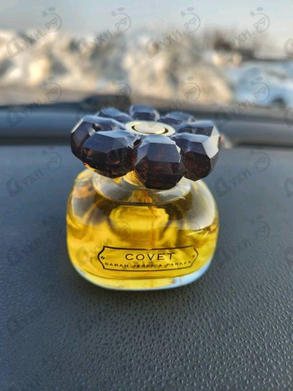 Купить Covet от Sarah Jessica Parker