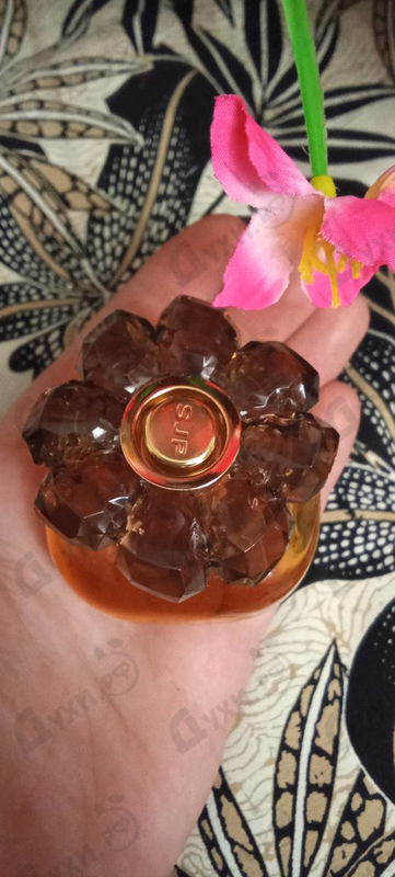 Купить Covet от Sarah Jessica Parker