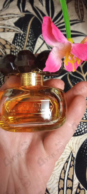 Парфюмерия Covet от Sarah Jessica Parker