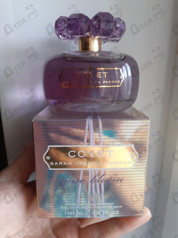 Духи Covet Pure Bloom от Sarah Jessica Parker Купить Sarah Jessica Parker Covet Pure Bloom