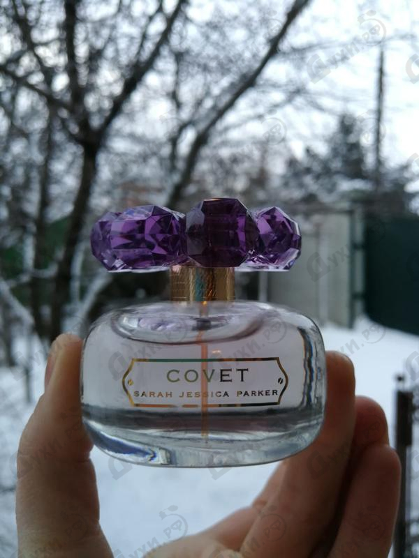 Купить Covet Pure Bloom от Sarah Jessica Parker