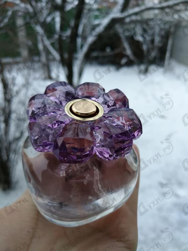 Купить Covet Pure Bloom от Sarah Jessica Parker