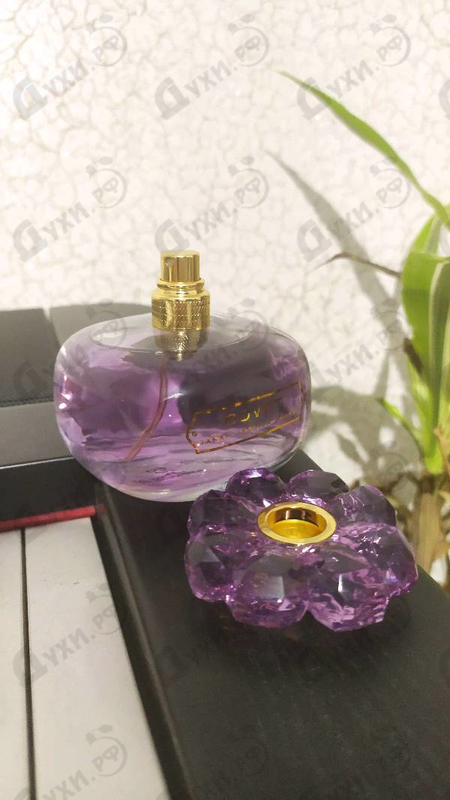 Духи Covet Pure Bloom от Sarah Jessica Parker Отзывы Sarah Jessica Parker Covet Pure Bloom