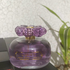 Купить Sarah Jessica Parker Covet Pure Bloom