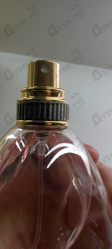 Купить Lovely от Sarah Jessica Parker