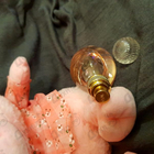 Парфюм Sarah Jessica Parker Lovely