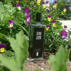 Отзыв Serge Lutens 5 O'clock Au Gingembre