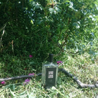 Парфюм Serge Lutens 5 O'clock Au Gingembre