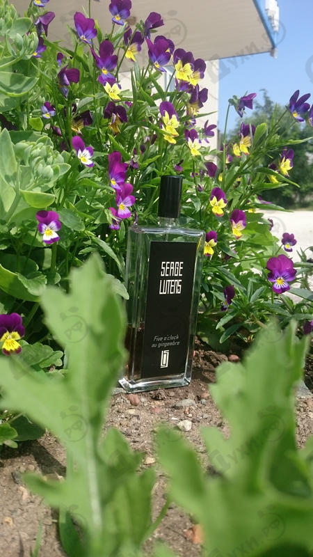 Парфюмерия 5 O'clock Au Gingembre от Serge Lutens