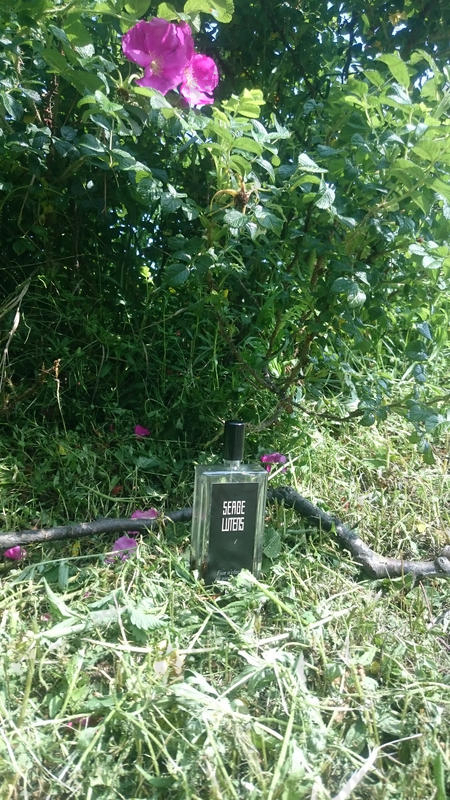 Купить 5 O'clock Au Gingembre от Serge Lutens