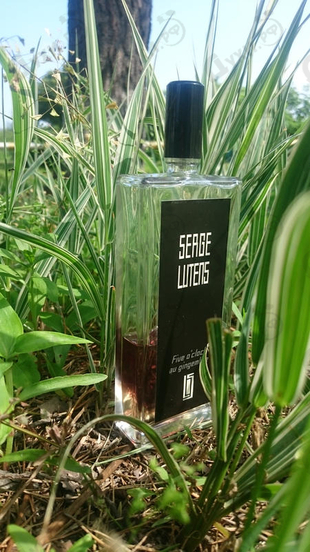Отзыв Serge Lutens 5 O'clock Au Gingembre