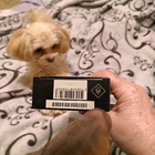 Отзывы Serge Lutens Ambre Sultan