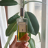 Купить Serge Lutens Arabie