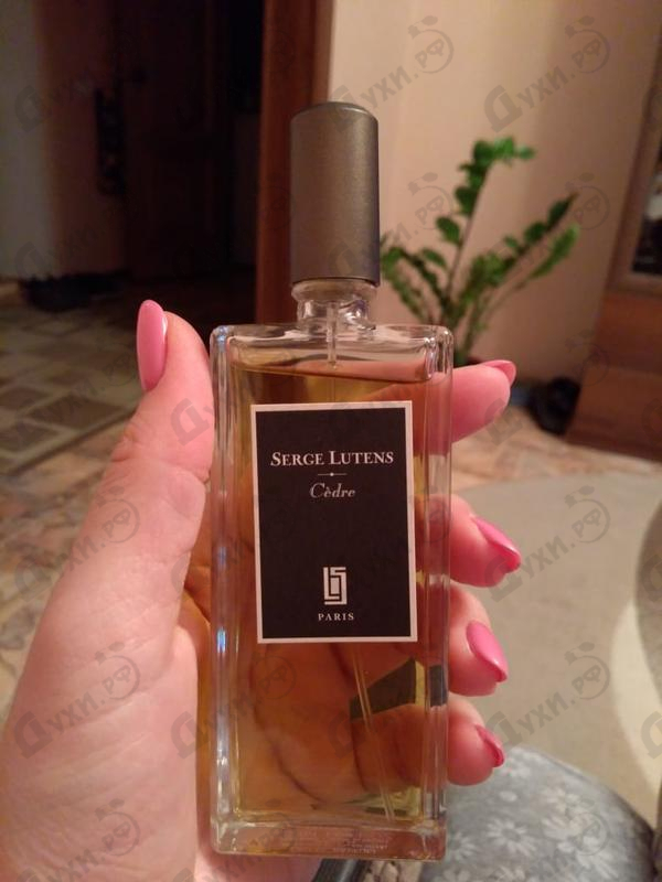 Отзыв Serge Lutens Cedre