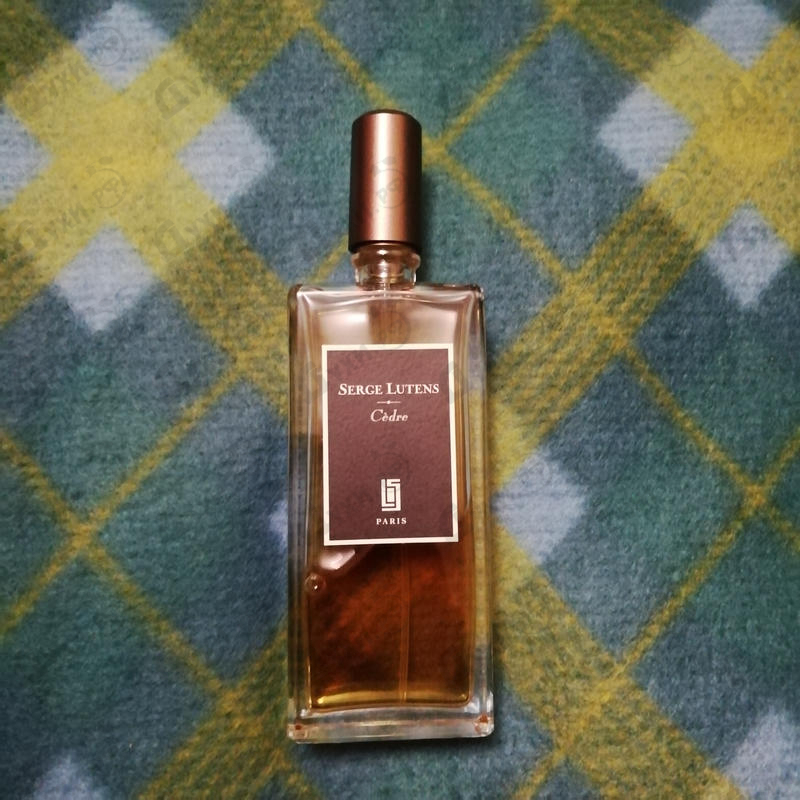 Купить Cedre от Serge Lutens Отзыв Serge Lutens Cedre