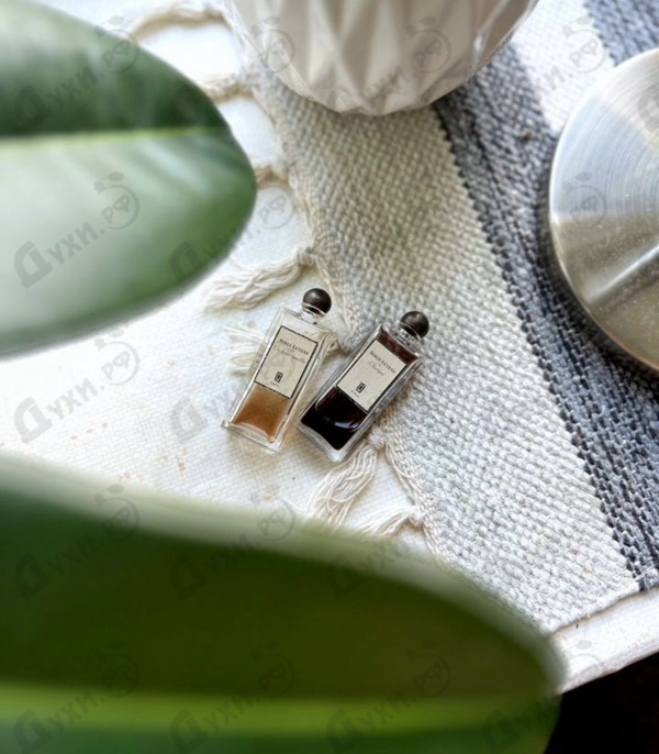 Духи Chergui от Serge Lutens