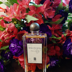Отзывы Serge Lutens Datura Noir