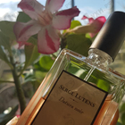Отзыв Serge Lutens Datura Noir