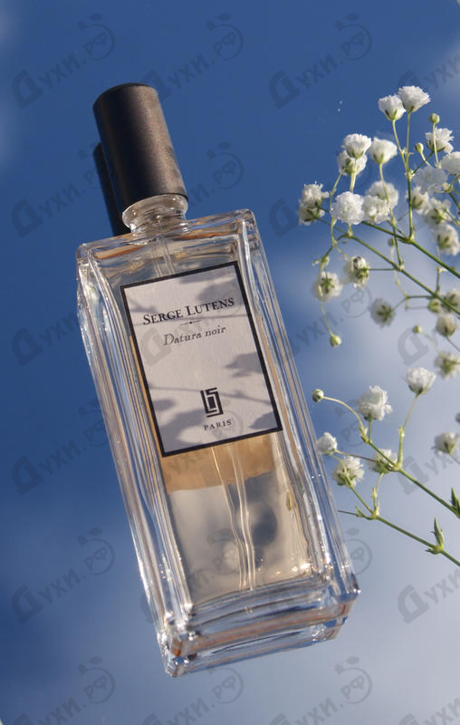 Парфюмерия Datura Noir от Serge Lutens Купить Serge Lutens Datura Noir