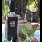 Отзывы Serge Lutens Feminite Du Bois