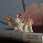 Духи Feminite Du Bois от Serge Lutens