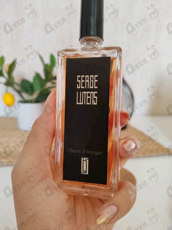 Отзыв Serge Lutens Fleurs D'oranger