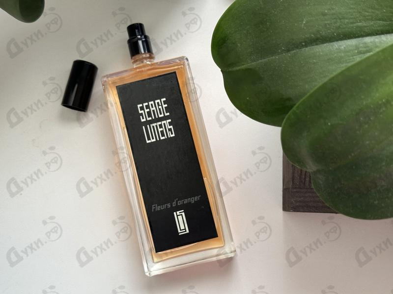 Купить Fleurs D'oranger от Serge Lutens