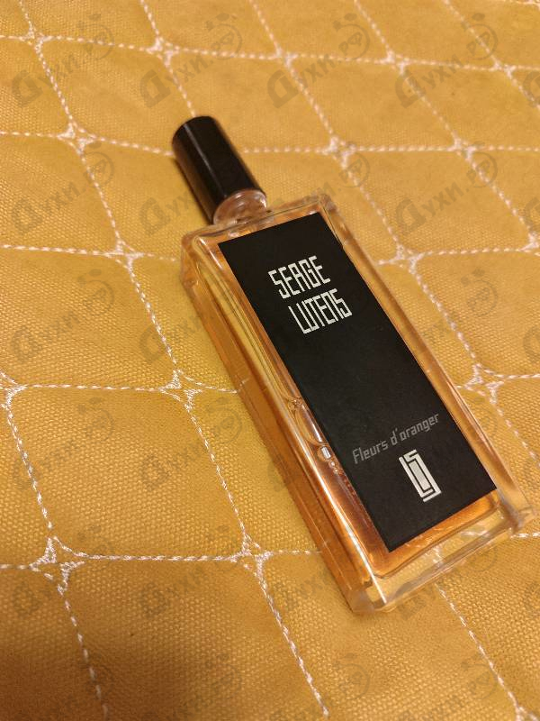 Купить Fleurs D'oranger от Serge Lutens