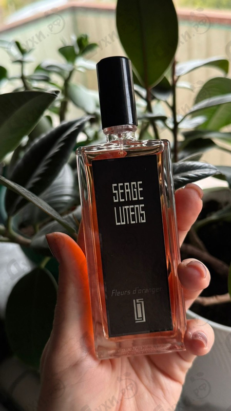 Купить Serge Lutens Fleurs D'oranger