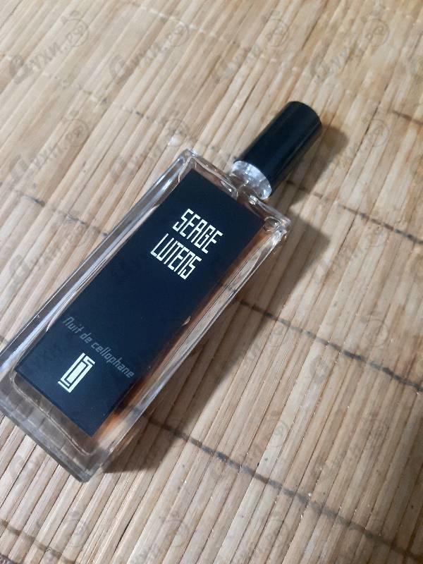 Купить Serge Lutens Nuit De Cellophane