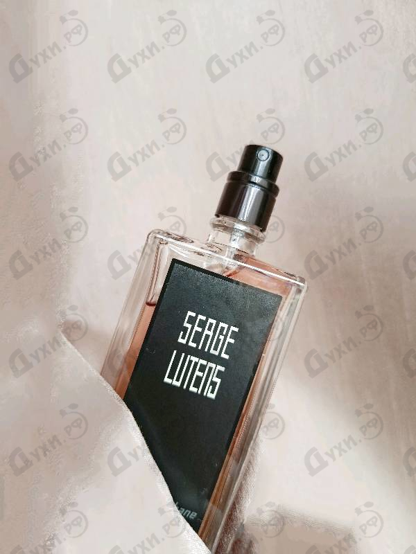 Купить Nuit De Cellophane от Serge Lutens