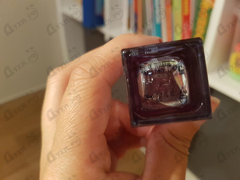 Купить Best от Sergio Tacchini