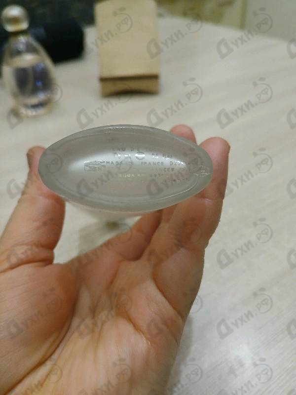 Парфюмерия Donna от Sergio Tacchini