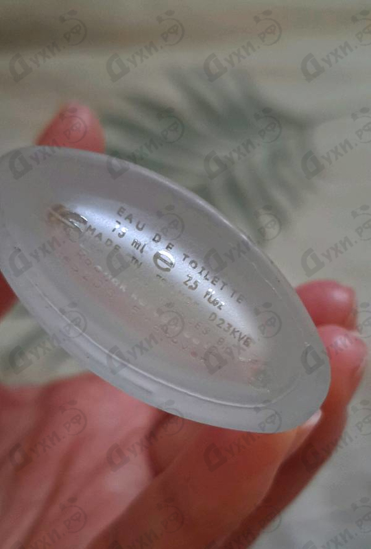 Парфюмерия Sergio Tacchini Donna