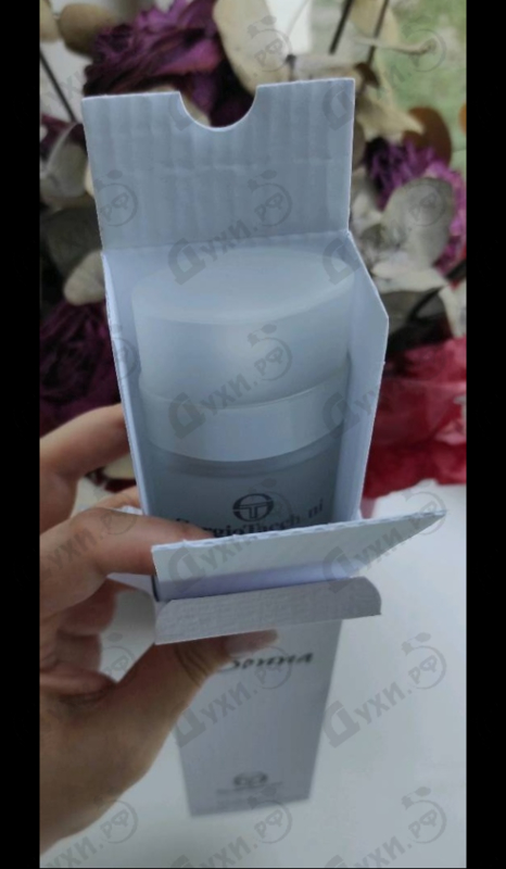 Парфюмерия Donna от Sergio Tacchini