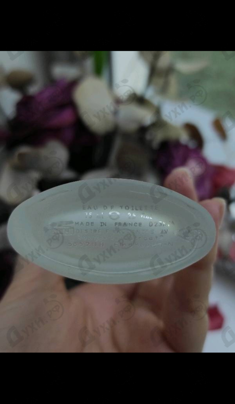 Отзывы Sergio Tacchini Donna