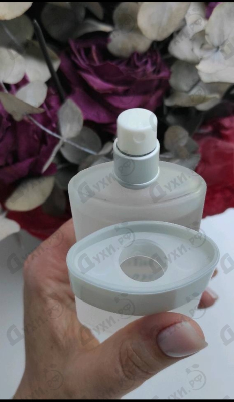 Купить Donna от Sergio Tacchini