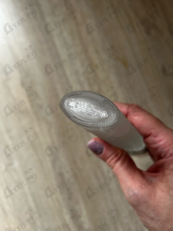 Купить Sergio Tacchini Donna