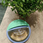 Отзывы Sergio Tacchini O-zone