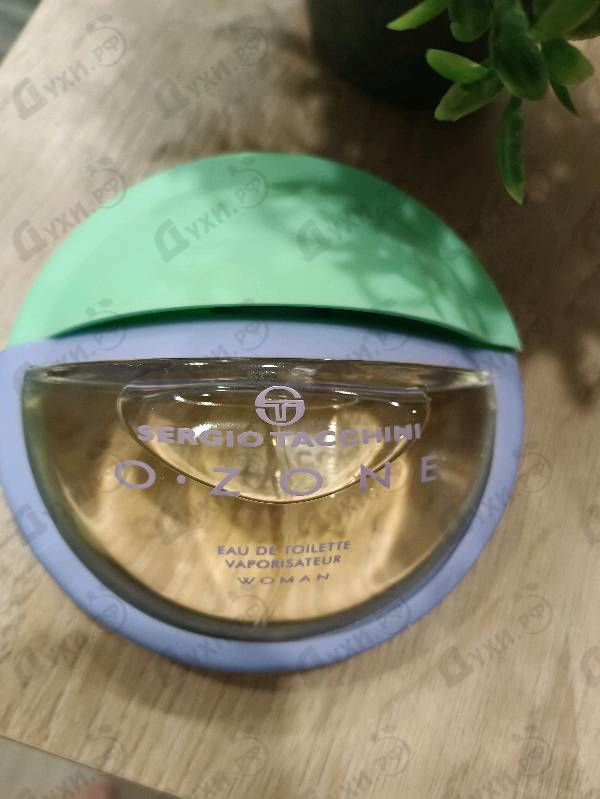 Купить O-zone от Sergio Tacchini